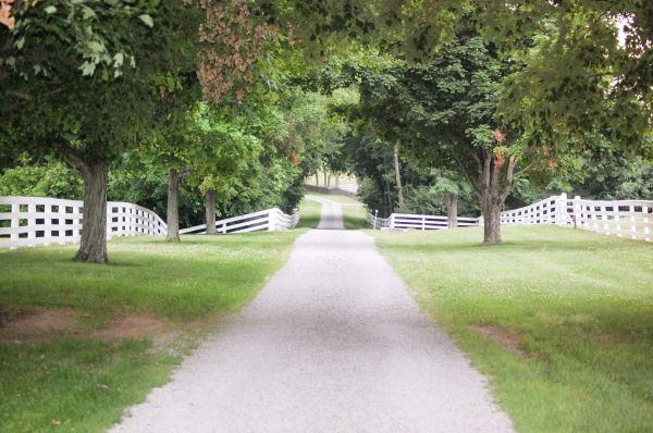 Gravel Driveway Construction in Gig Harbor
