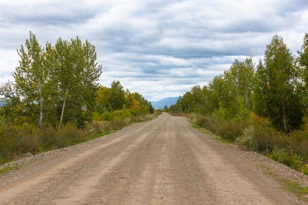 Dirt Road Repair in Gig Harbor