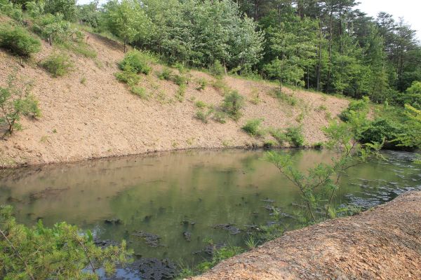 Pond Erosion Repair in Gig Harbor