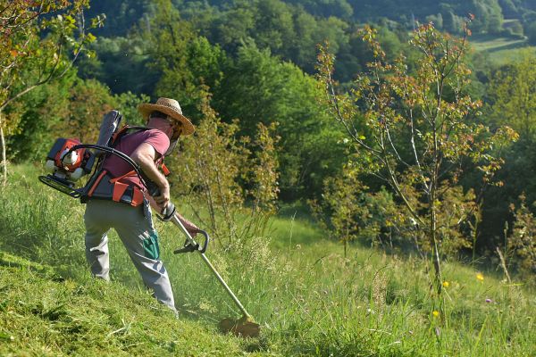 Cost of Slope Trimming in Gig Harbor